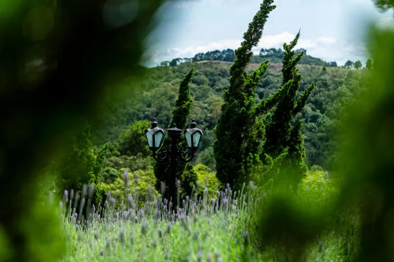 Bendito Cacao Resort & Spa: área externa, em Campos do Jordão