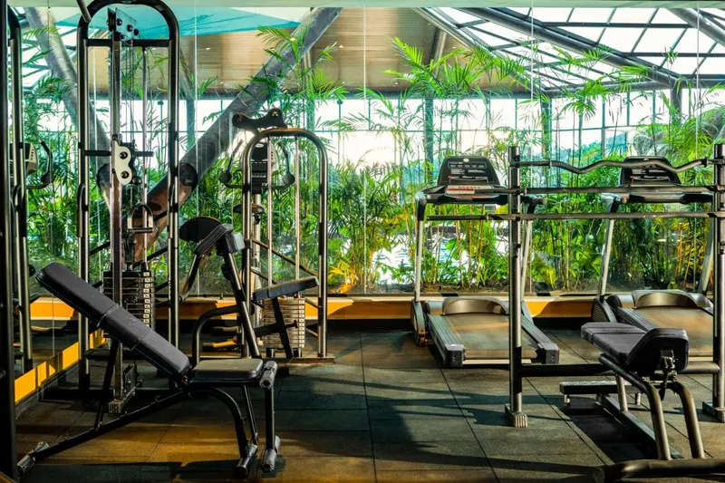 Lazer em Bendito Cacao Resort & Spa (Campos do Jordão)