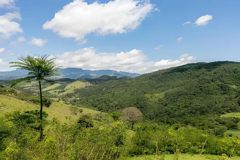 Casa de Pedra, Charme e Conforto: vista a partir, em Campos do Jordão