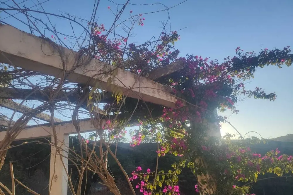 Colonia Saa: área externa, em Campos do Jordão