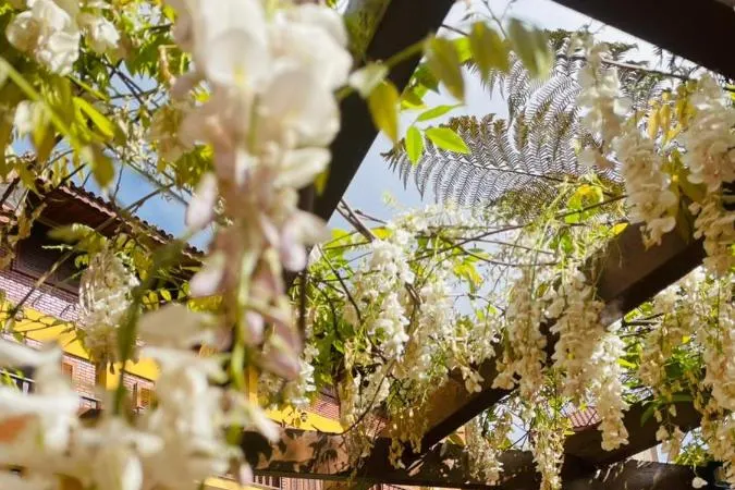 Hotel Garnier: área externa, em Campos do Jordão