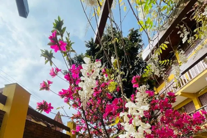 Hotel Garnier: área externa, em Campos do Jordão