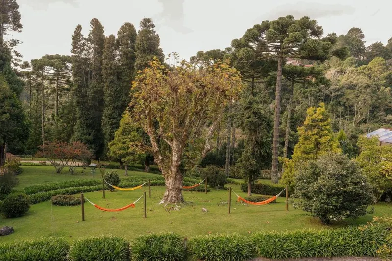 Hotel Vila Inglesa: vista a partir, em Campos do Jordão