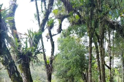 Plaza Inn Week Inn: vista a partir, em Campos do Jordão