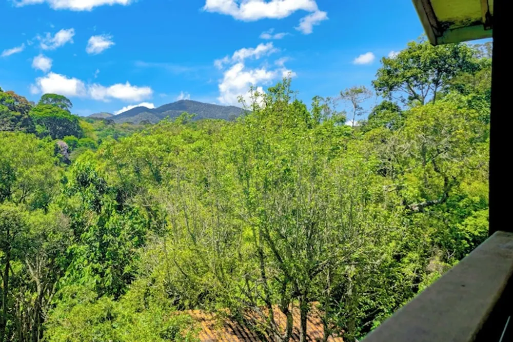 Pousada Cores e Flores da Serra: vista a partir, em Santo Antônio do Pinhal