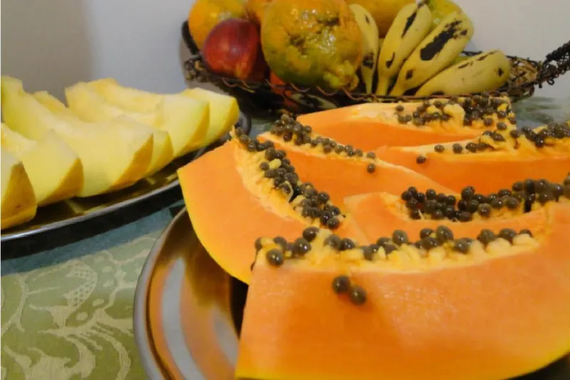Café da manhã e refeições em Pousada Recanto Siao (Campos do Jordão)