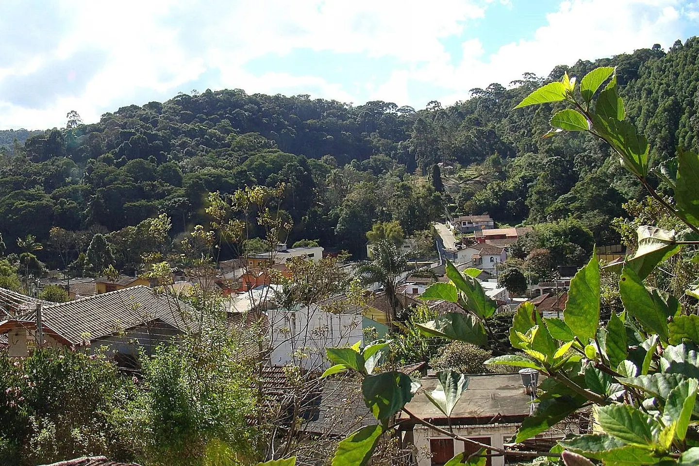 Santo Antônio do Pinhal, cidade entre as matas da Mantiqueira