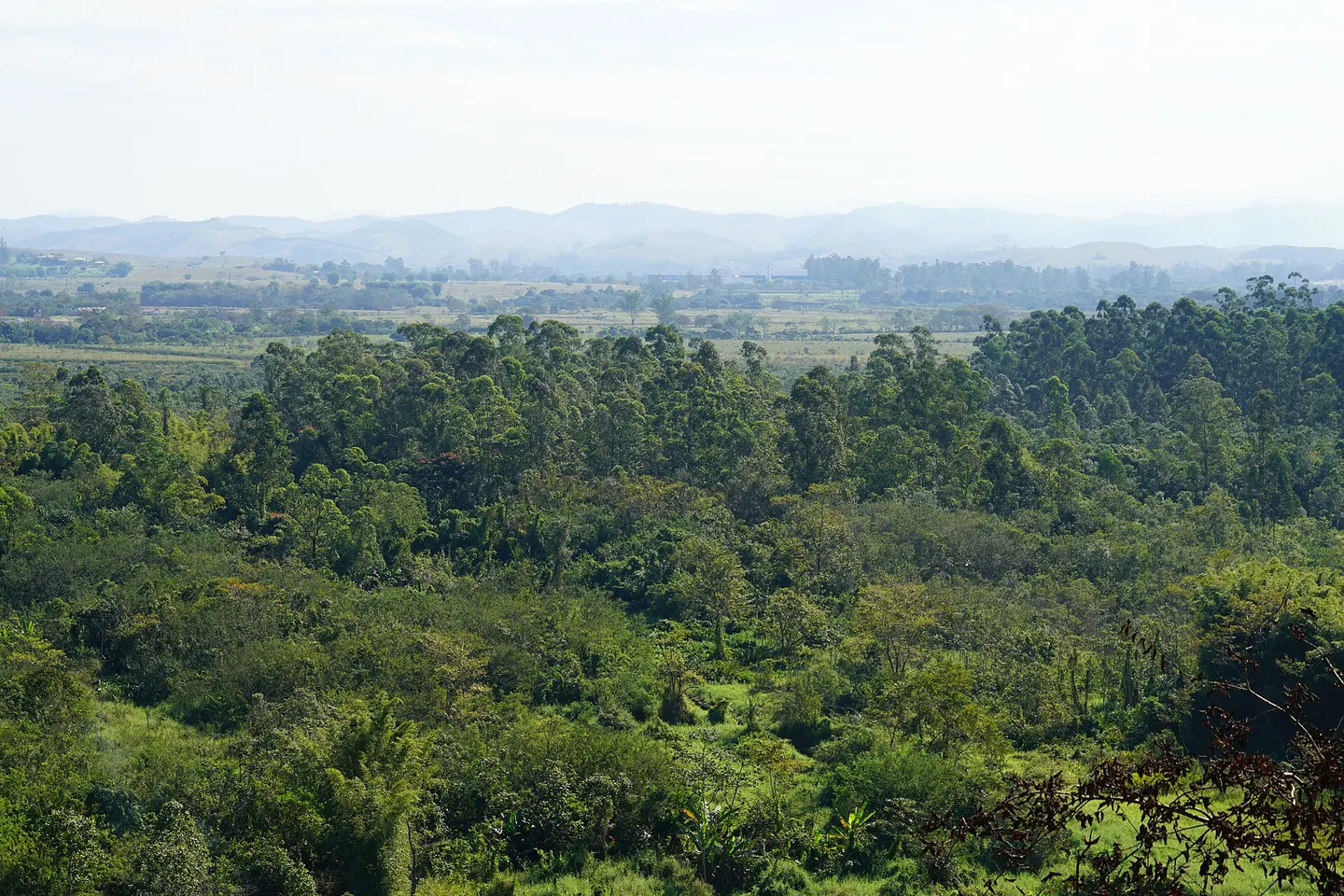 Banhado de São José dos Campos, parque natural municipal